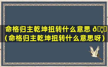 命格归主乾坤扭转什么意思 🦅 （命格归主乾坤扭转什么意思呀）